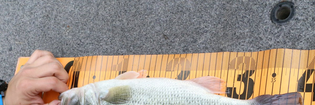 Vänern Pike Jig
