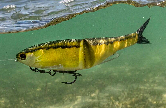 TungsRock ShadRun soft swimbait 6 inch